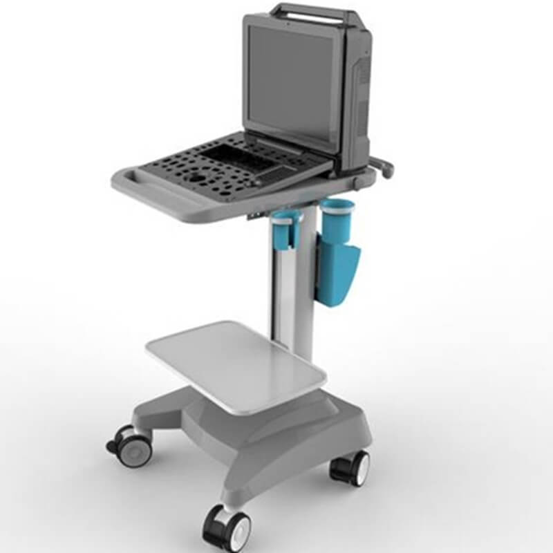 1 - Portable Veterinary Ultrasound Scanner for Sale PM-V6P