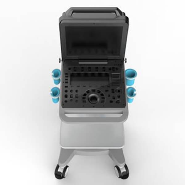 3 - Portable Veterinary Ultrasound Scanner for Sale PM-V6P